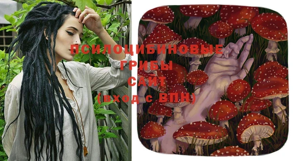 мдма Медногорск